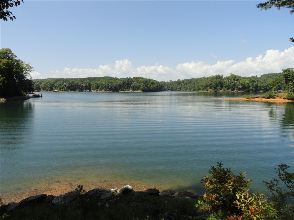 719 Top Ridge Drive Sunset, SC 29685 - Photo 2 of 9