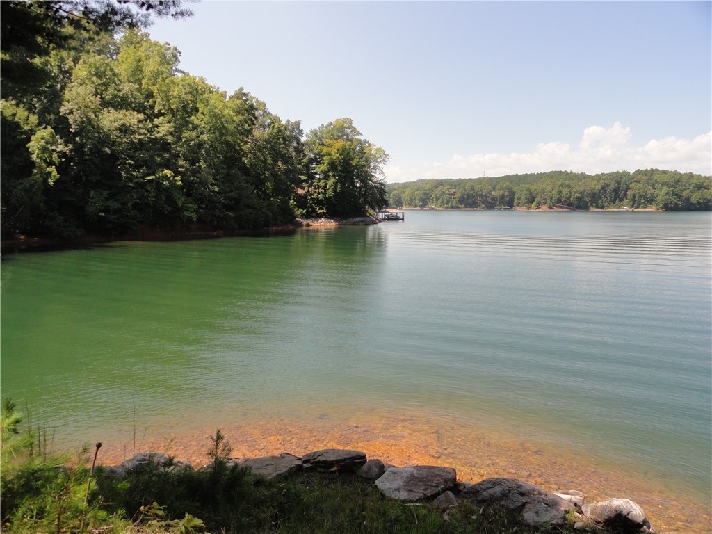 719 Top Ridge Drive Sunset, SC 29685 - Photo 3 of 9