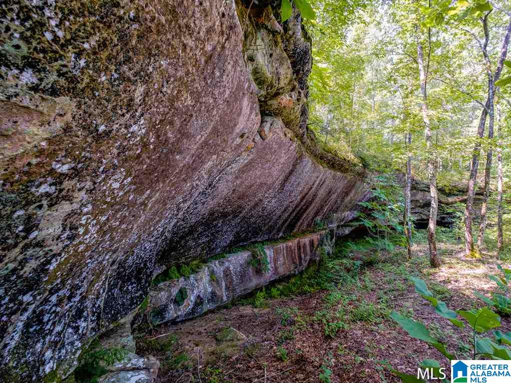 Long Leaf Road, Unit 9 Double Springs, AL 35553 - Photo 3 of 15