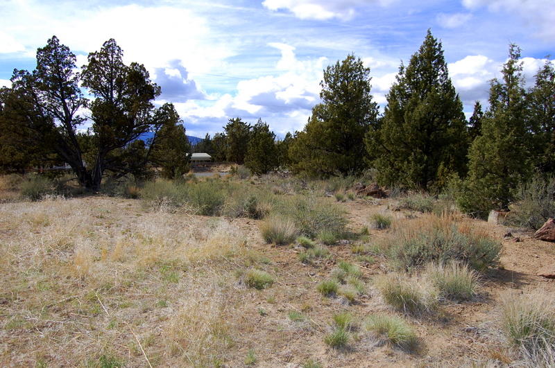 7500 Crow Road Prineville, OR 97754 - Photo 9 of 14 DSC_3609