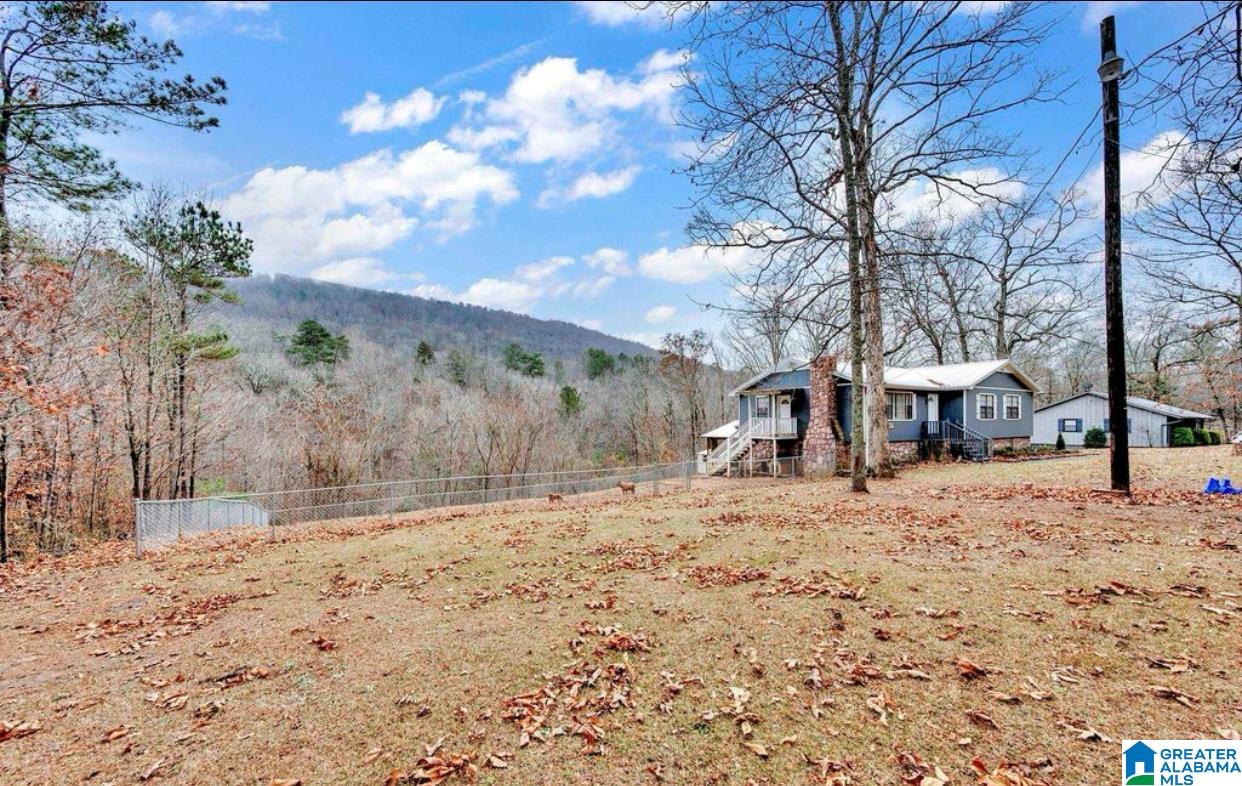 874 Mill Creek Road Warrior, AL 35180 - Photo 10 of 47