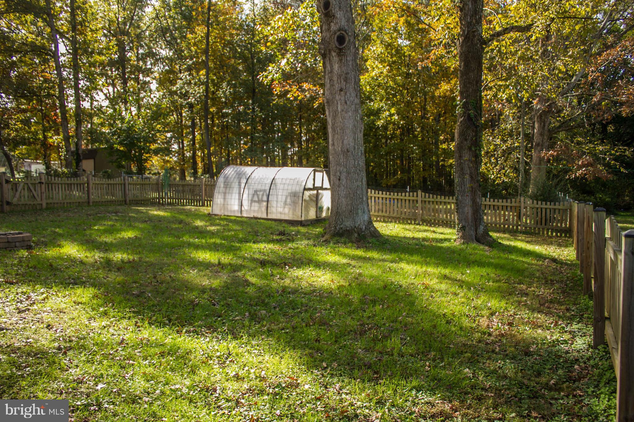 12268 Davis Road Remington, VA 22734 - Photo 8 of 31 Exterior (Rear)