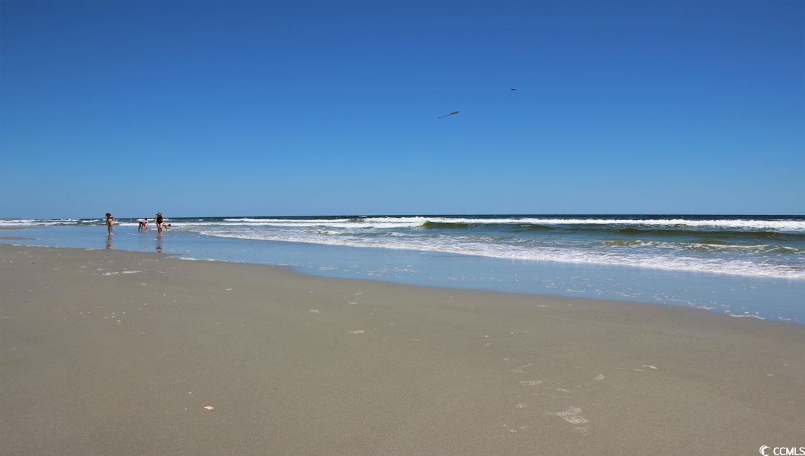 183 Bjorn Way Loris, SC 29569 - Photo 40 of 40 Water view featuring local beach