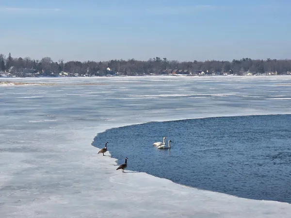 $340,000 | 1290 Malone Park Road, Isle, MN 56342