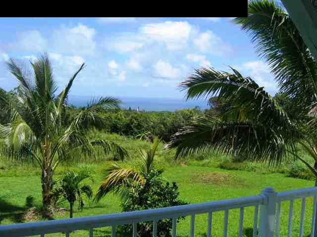 438 Kaupakalua Road Haiku, HI 96708 - Photo 15 of 18 a view of a yard with plants and palm trees