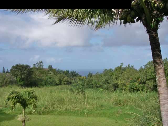 438 Kaupakalua Road Haiku, HI 96708 - Photo 18 of 18 a view of a lake