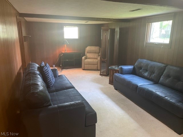 4937 Timberview Drive Vermilion, OH 44089 - Photo 11 of 15