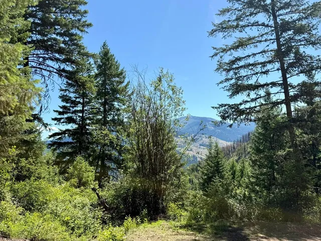 $65,000 | Tbd Tbd Perenlandra Circle, Unit LOT 41, Danville, WA 99121