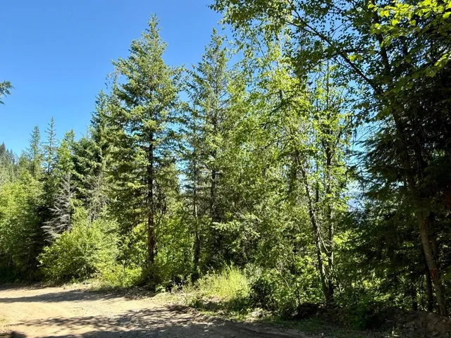 $65,000 | Tbd Tbd Perenlandra Circle, Unit LOT 41, Danville, WA 99121