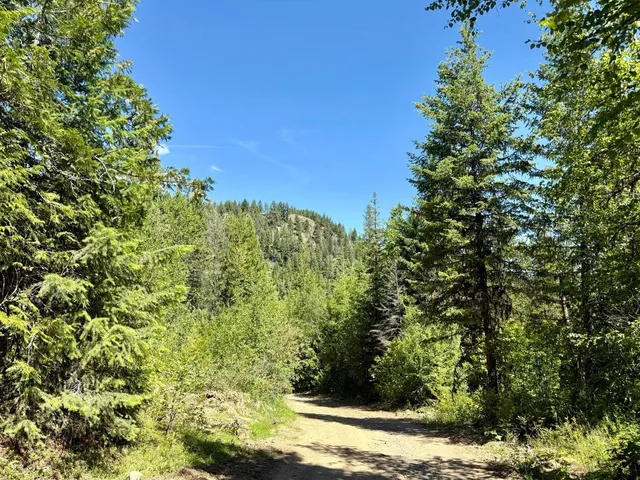 $65,000 | Tbd Tbd Perenlandra Circle, Unit LOT 41, Danville, WA 99121