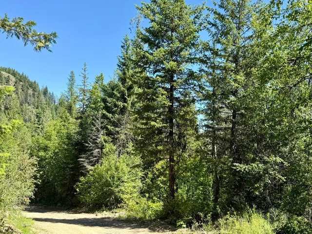 $65,000 | Tbd Tbd Perenlandra Circle, Unit LOT 41, Danville, WA 99121