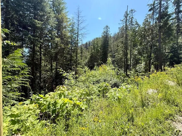 $65,000 | Tbd Tbd Perenlandra Circle, Unit LOT 41, Danville, WA 99121