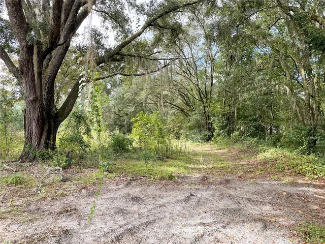 $65,000 | 3090 Southeast 109th Court, Morriston, FL 32668