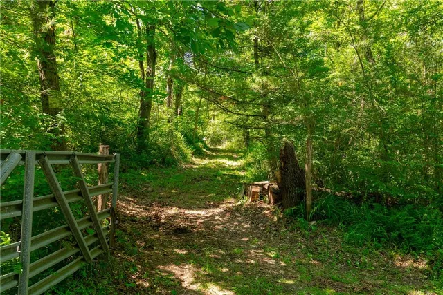a view of a yard with large trees