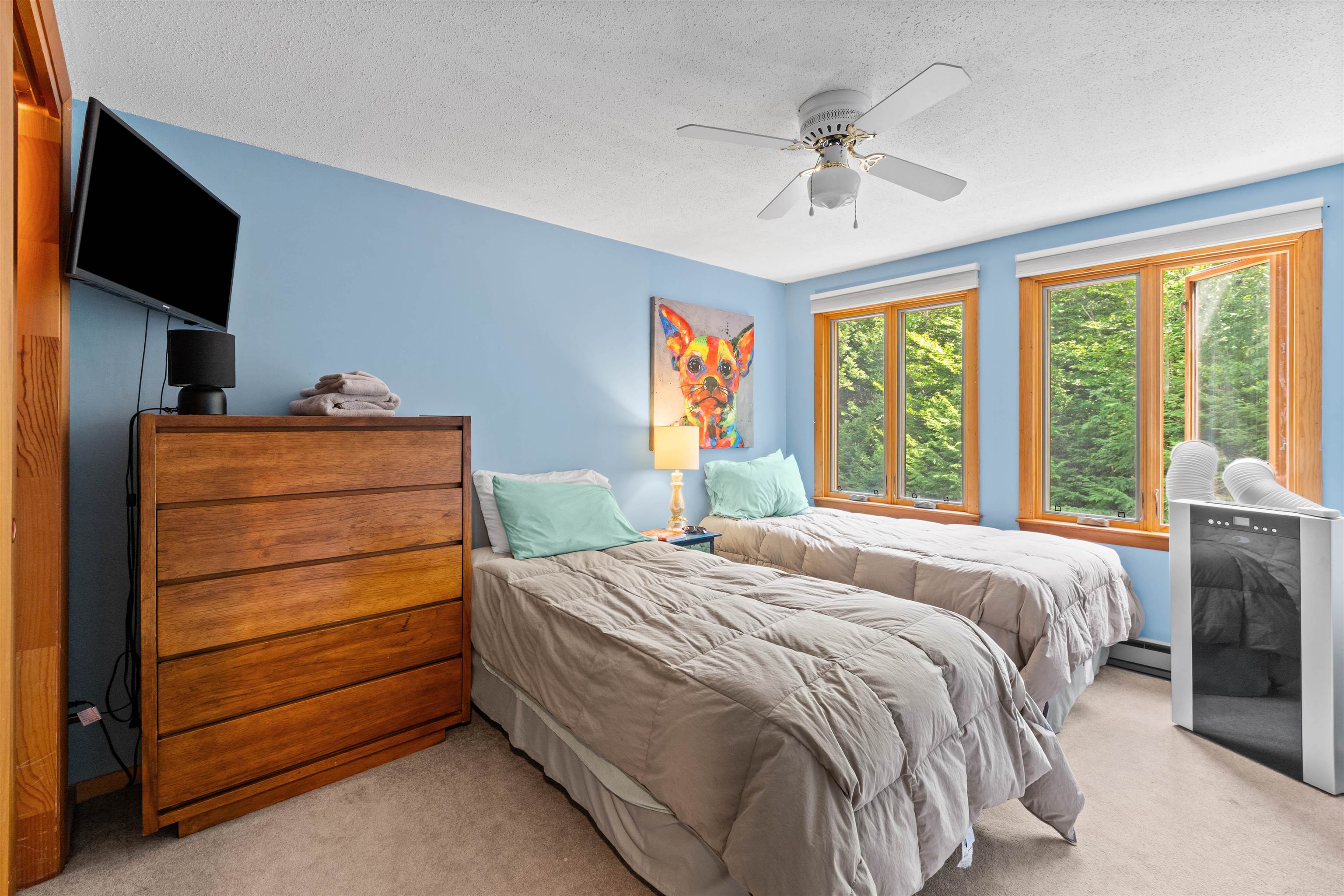 3 Mountain View Road, Unit 6 Intervale, NH 03845 - Photo 29 of 48
