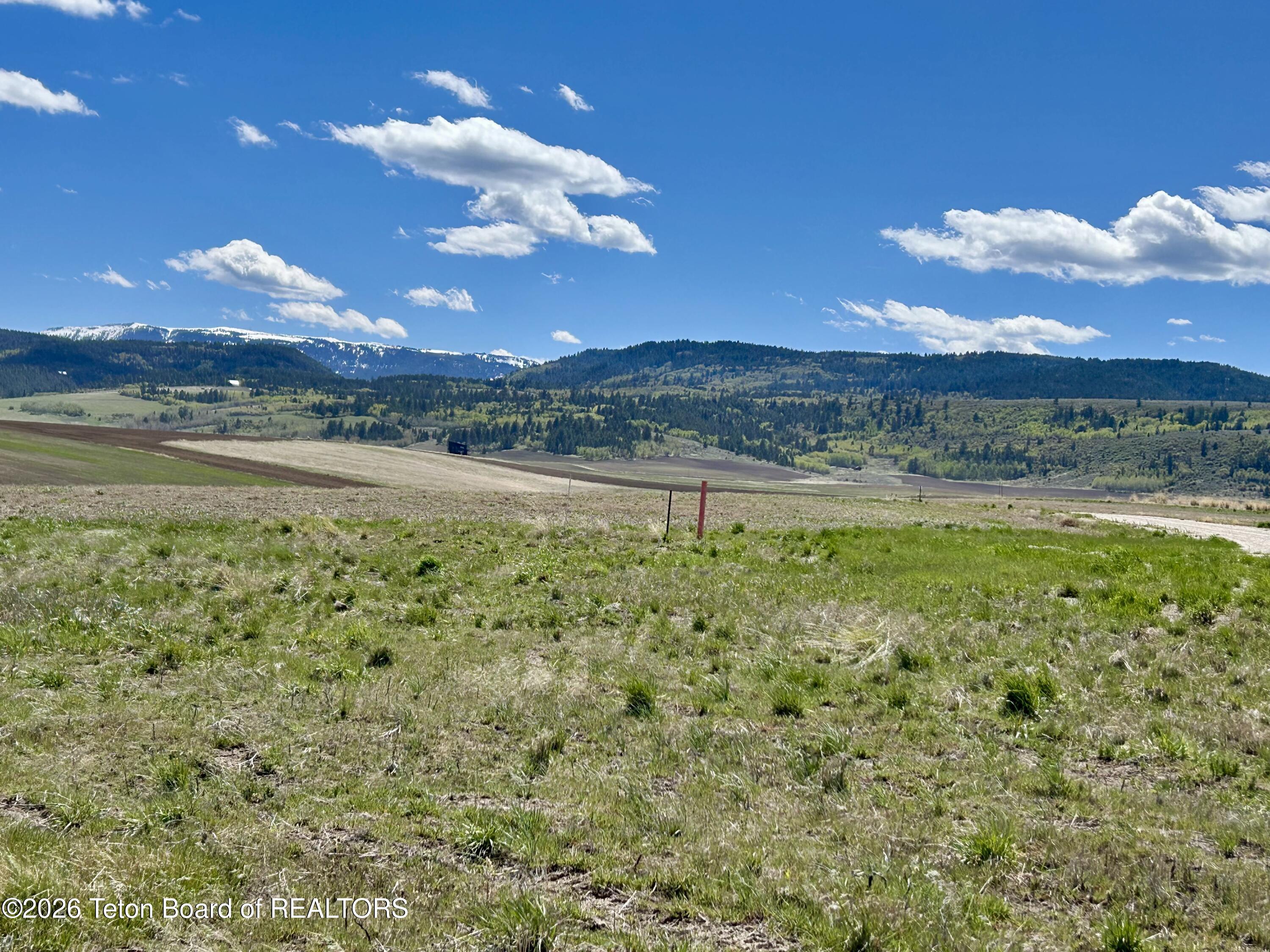 8085 Appaloosa Ridge Trail Tetonia, ID 83452 - Photo 3 of 4 IMG_3784