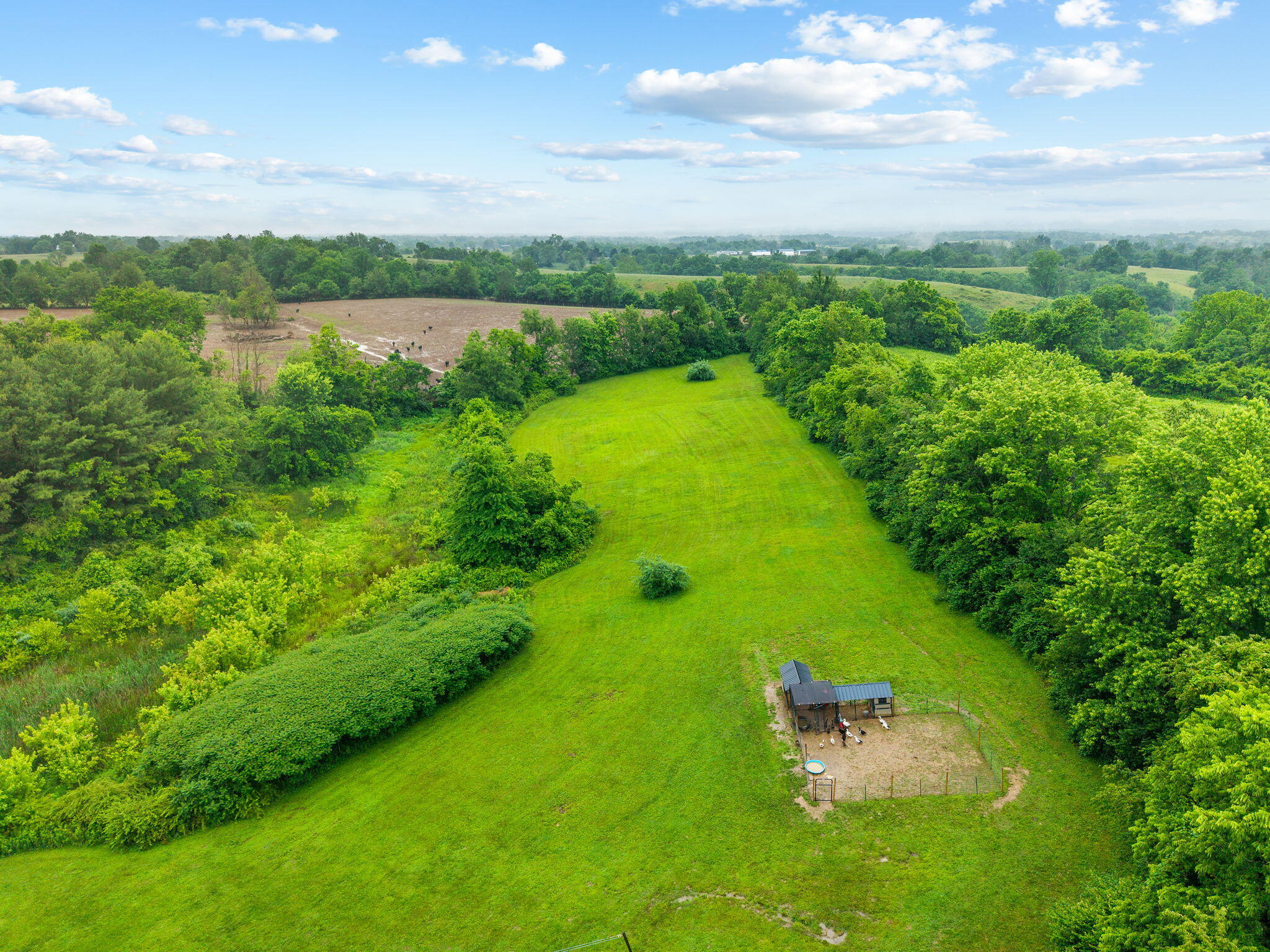 233 Schollsville Road Winchester, KY 40391 - Photo 65 of 67 12-web-or-mls-DJI_20260526110222_0028_D