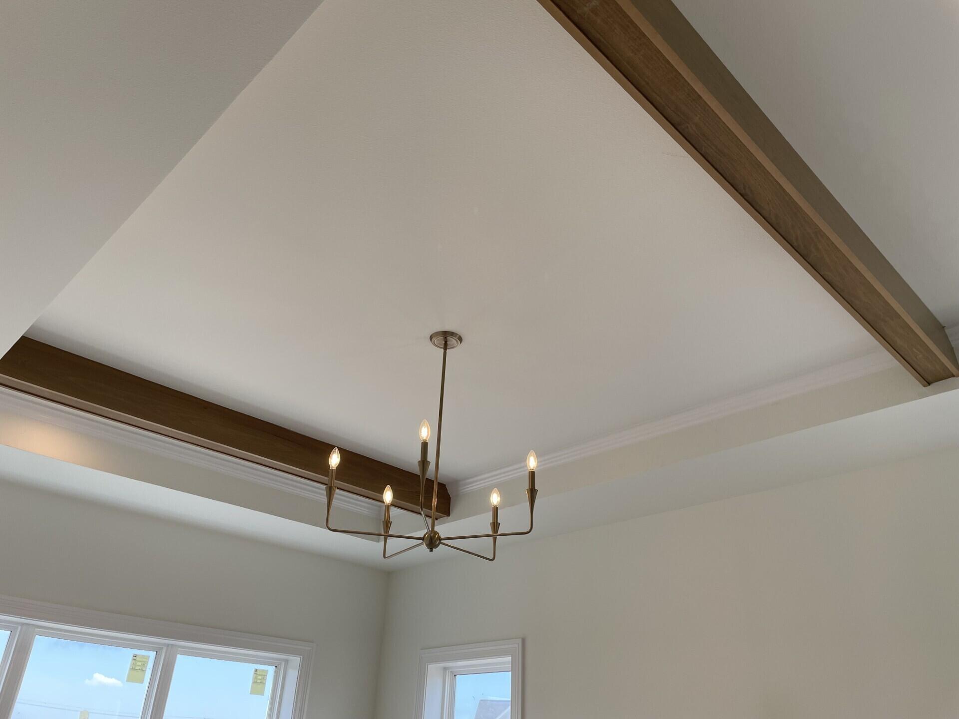 W358-n6309 W358-n6309 Ennis Road Oconomowoc, WI 53066 - Photo 20 of 47 Primary Suite Ceiling Detail