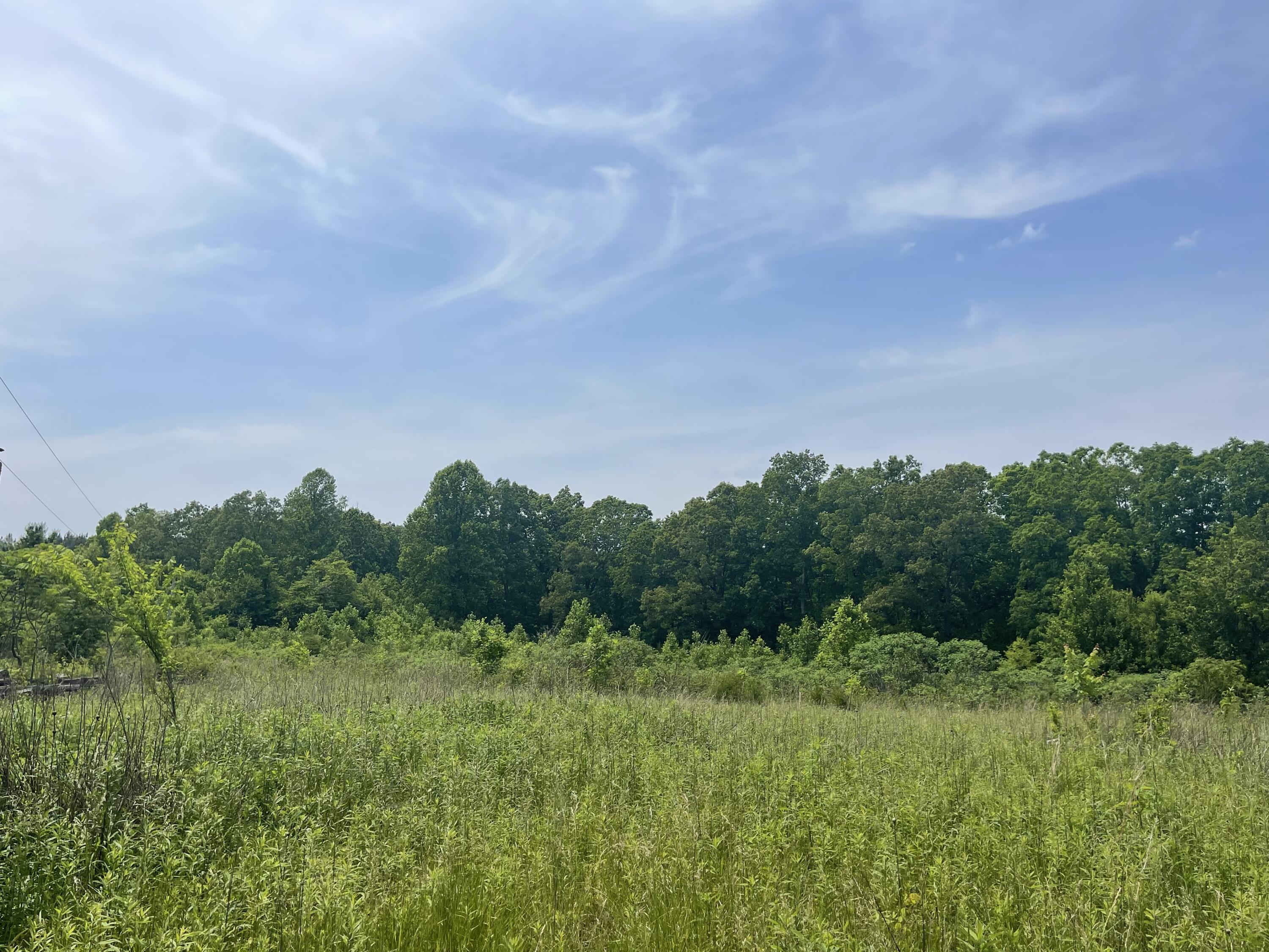 440 Sievers Road Crossville, TN 38572 - Photo 3 of 9 CA011C8E-52DA-4196-A7DC-18568C56ED22
