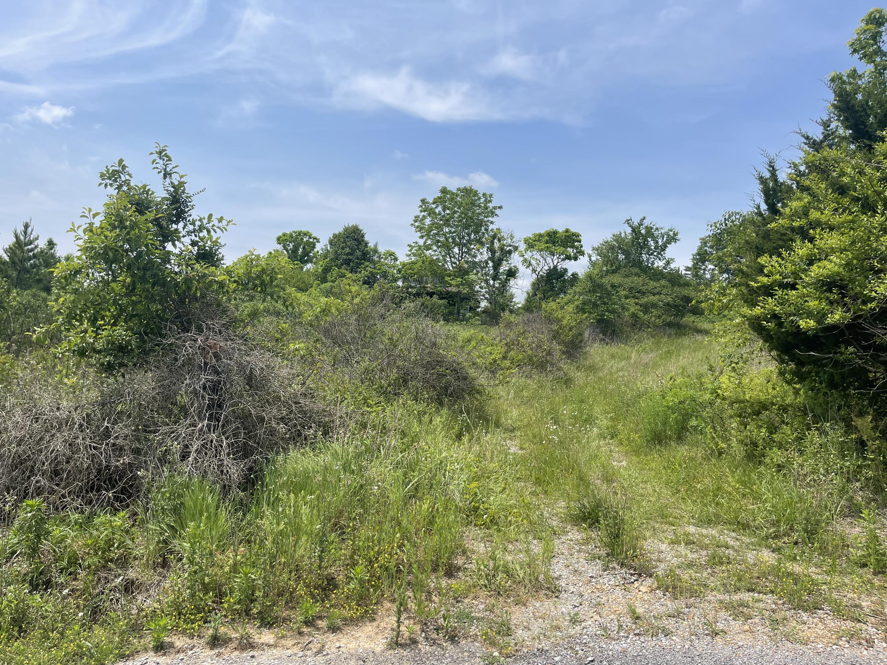 440 Sievers Road Crossville, TN 38572 - Photo 5 of 9 397786CF-6B34-498E-832B-DDBAEB96AB83