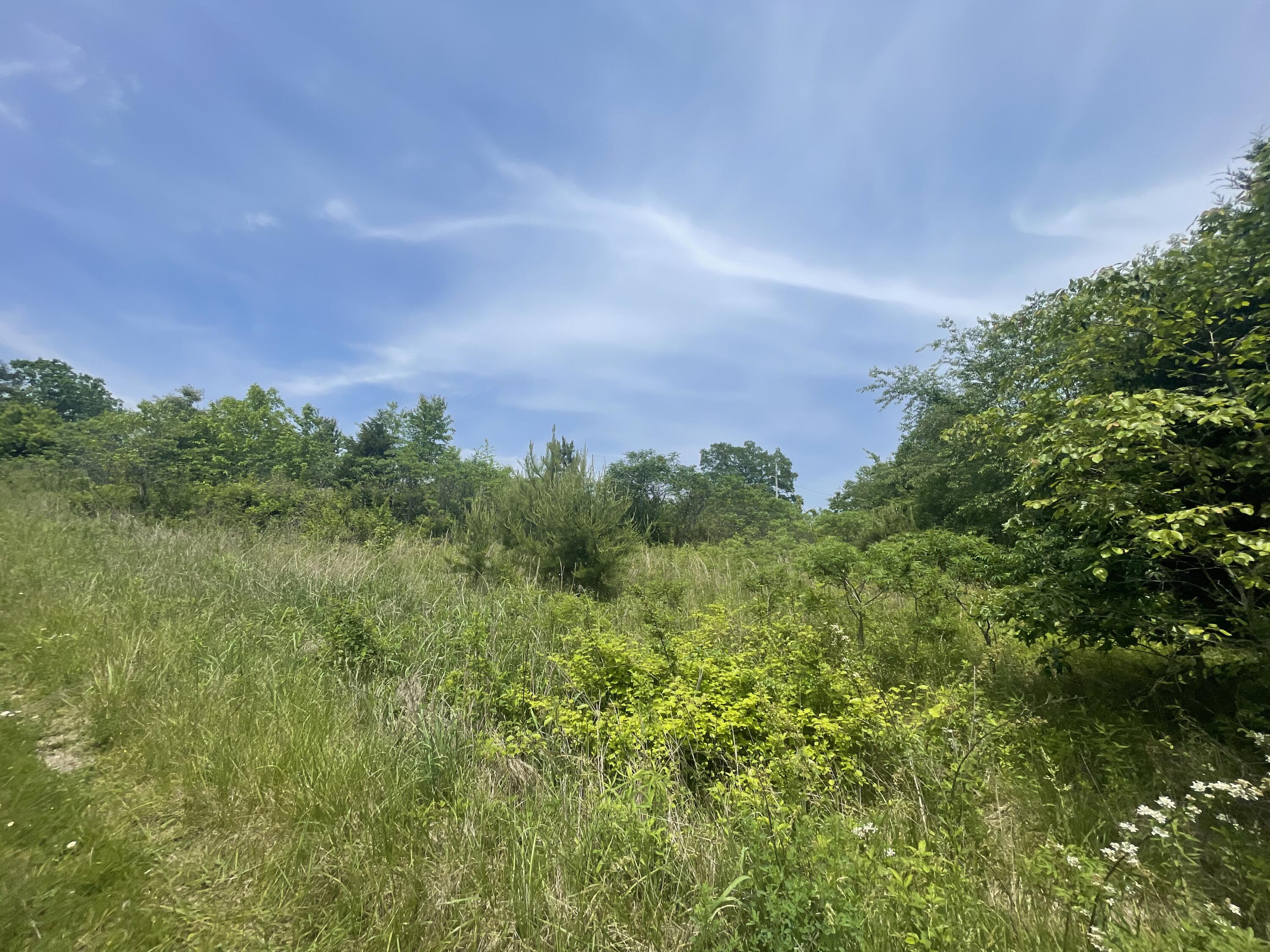 440 Sievers Road Crossville, TN 38572 - Photo 7 of 9 B15025BD-0414-49F9-A4AE-85D1FD6F5CA4