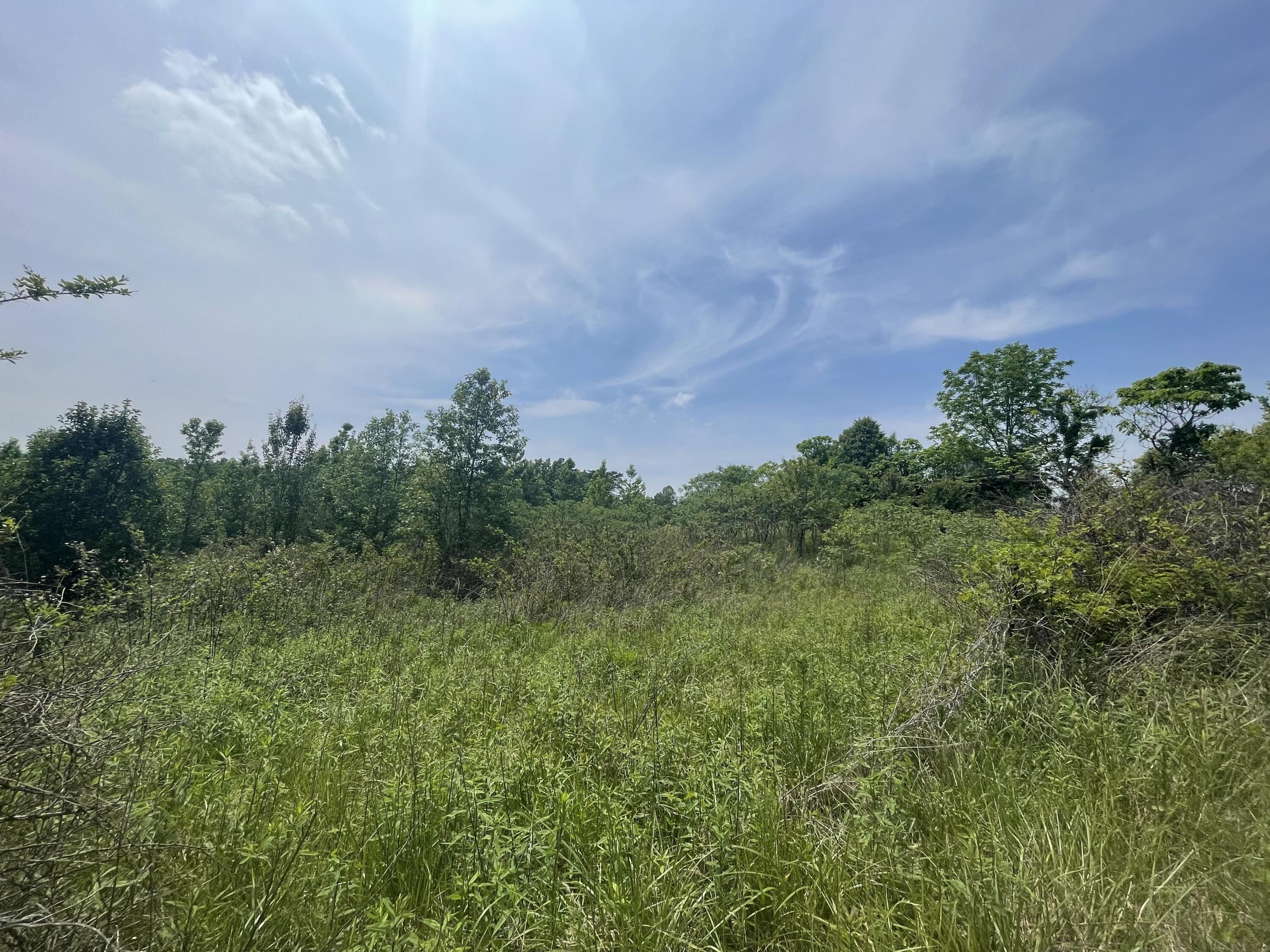 440 Sievers Road Crossville, TN 38572 - Photo 8 of 9 345D1988-3BA1-4484-A0C1-C8AB8422FF88