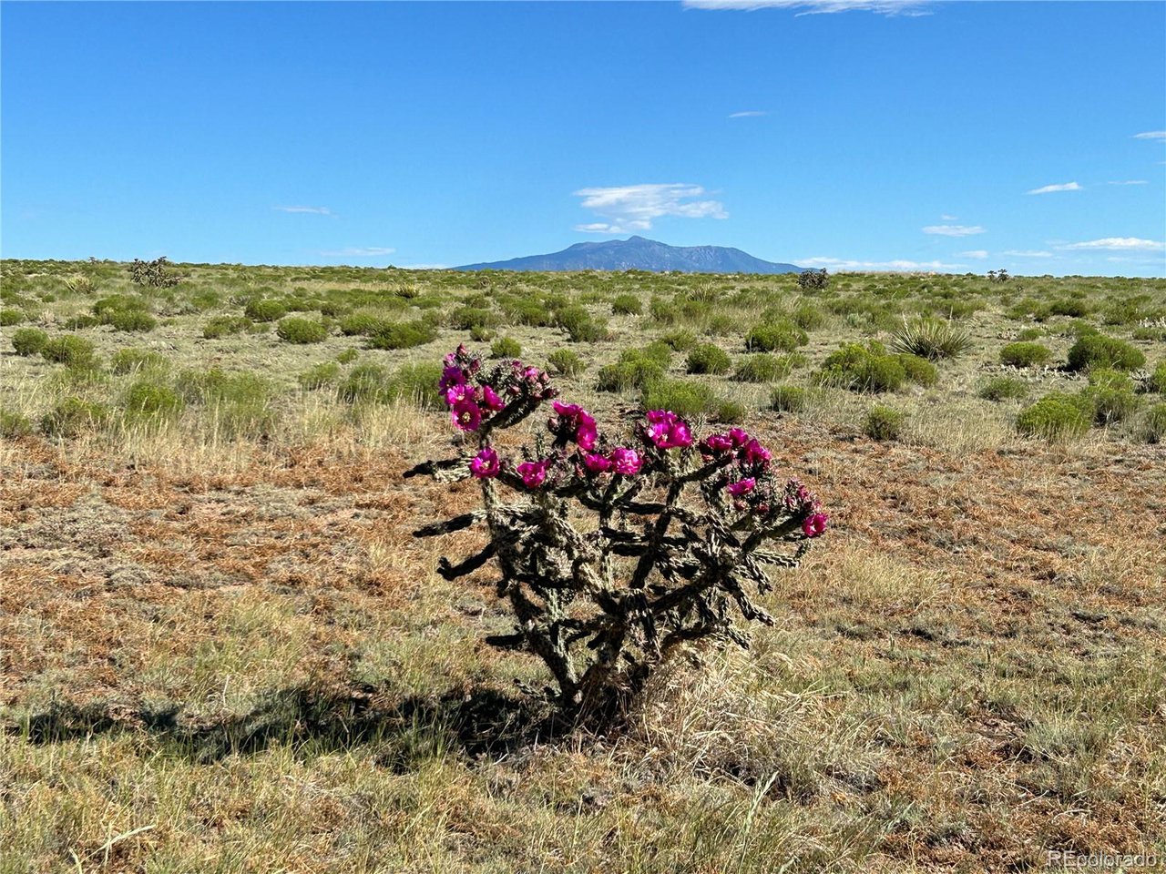 46 River Ridge Trail Walsenburg, CO 81089 - Photo 13 of 18