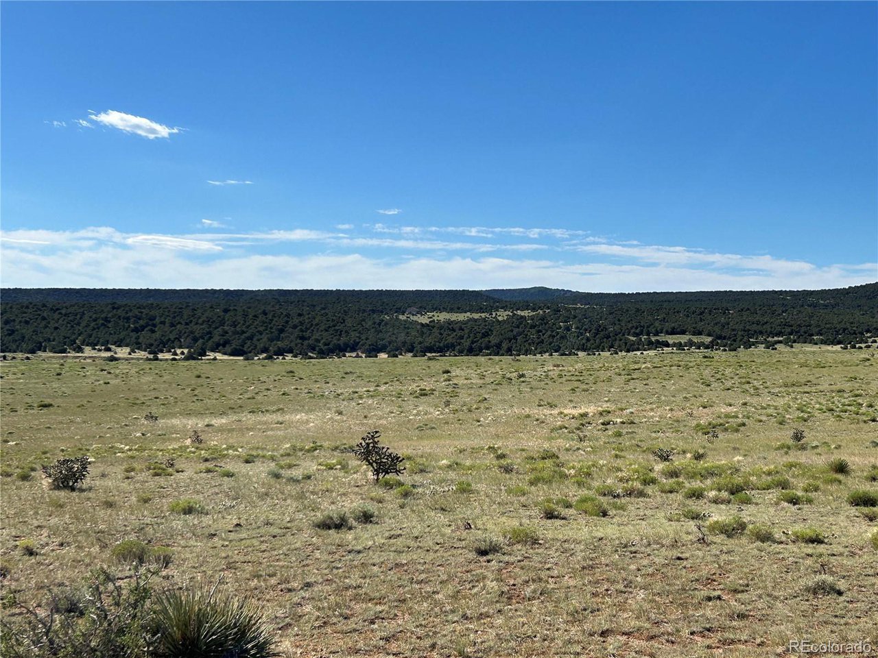 46 River Ridge Trail Walsenburg, CO 81089 - Photo 17 of 18