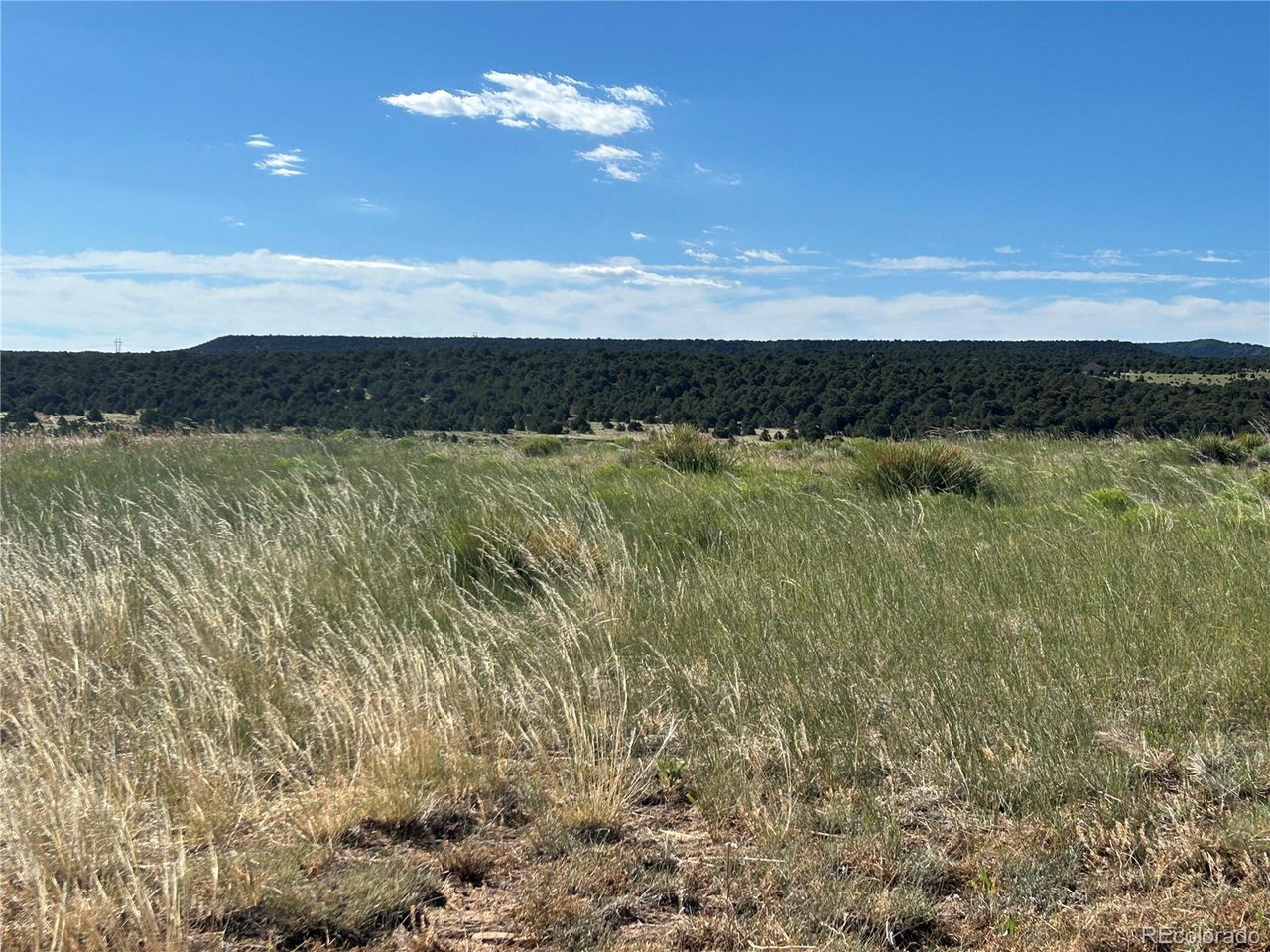 46 River Ridge Trail Walsenburg, CO 81089 - Photo 6 of 18