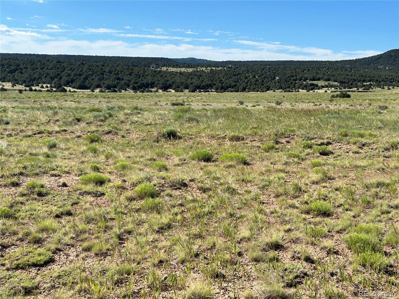 46 River Ridge Trail Walsenburg, CO 81089 - Photo 9 of 18