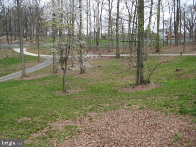 19254 South Merrimac Road Culpeper, VA 22701 - Photo 2 of 5 View from Unit