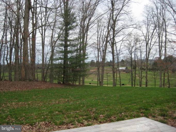 19254 South Merrimac Road Culpeper, VA 22701 - Photo 3 of 5 Wooded View / Acreage