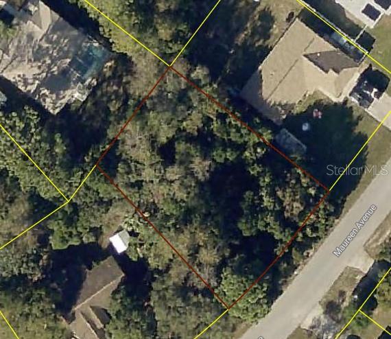 Maureen Ave Spring Hill Spring Hill, FL 34609 - Photo 1 of 1 a picture of tree