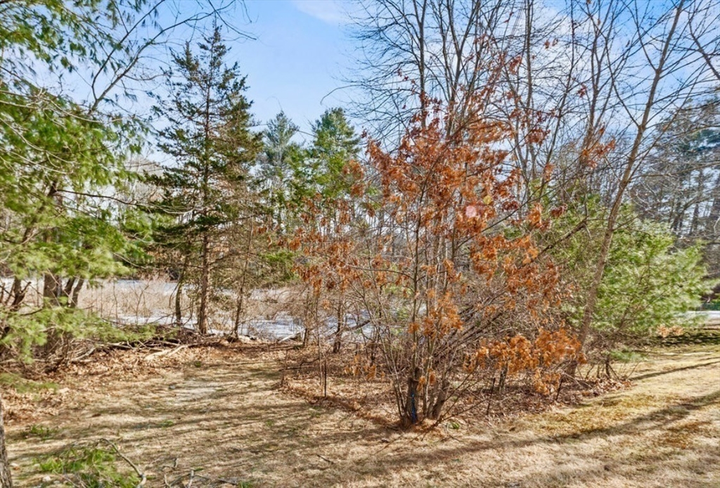 1156 Washington Street Walpole, MA 02081 - Photo 25 of 26 a view of a yard with a tree