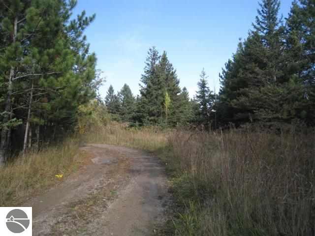 12033 Shippy Road Southwest Fife Lake, MI 49633 - Photo 18 of 25 1737670-17.JPG