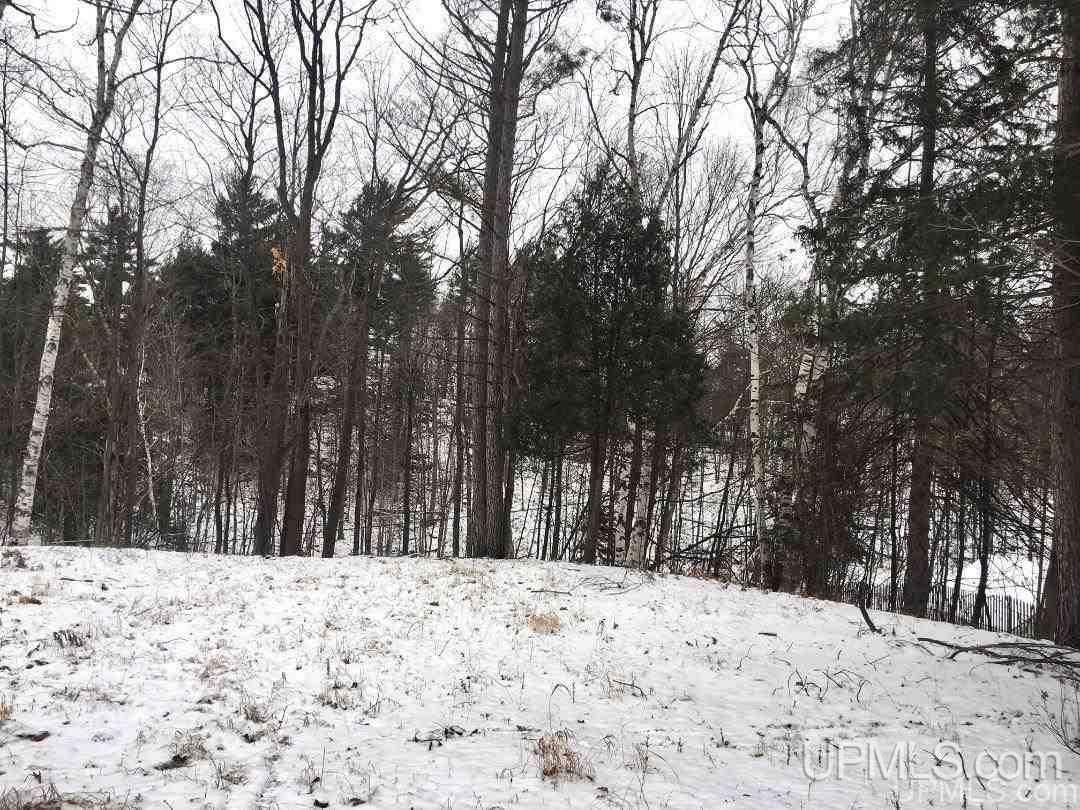 Tbd Tbd Birch Ishpeming, MI 49849 - Photo 4 of 6
