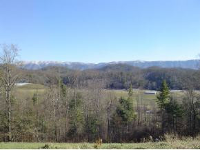 207 Rooty Branch Road Bristol, TN 37620 - Photo 1 of 7 Photo 1