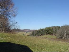 207 Rooty Branch Road Bristol, TN 37620 - Photo 3 of 7 Photo 3