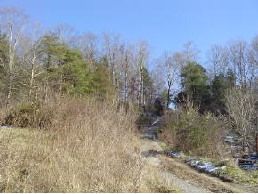 207 Rooty Branch Road Bristol, TN 37620 - Photo 7 of 7 Photo 9