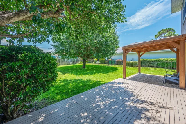 a view of a park with large trees