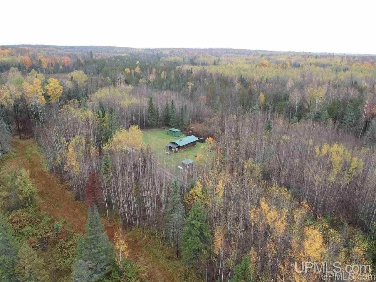 30662 Co Road Cornell, MI 49818 - Photo 33 of 42