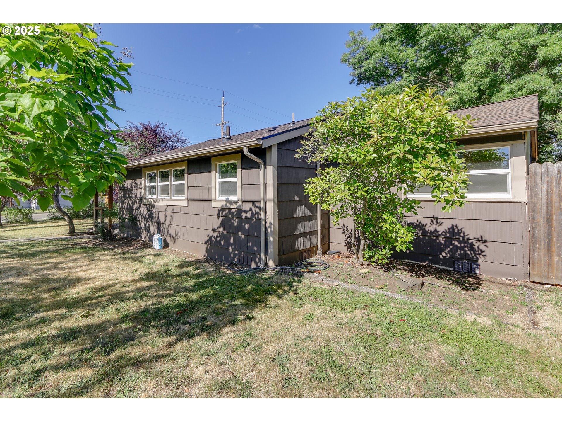 2905 Pearl Street Eugene, OR 97405 - Photo 7 of 29 a view of a backyard with potted plants and large tree