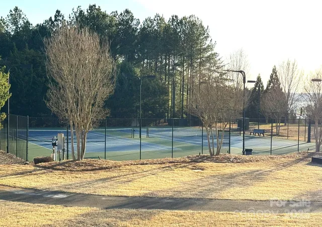 a view of a yard with plants and trees