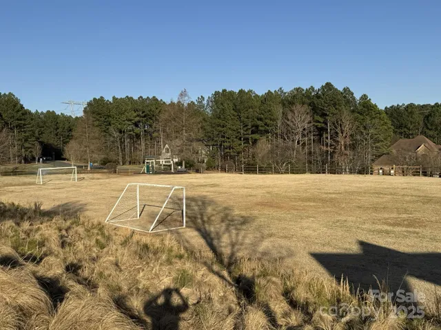 a view of a yard with plants and trees