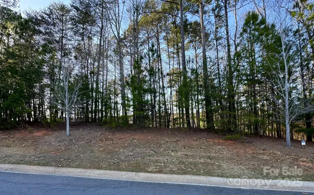 a view of outdoor space yard and patio