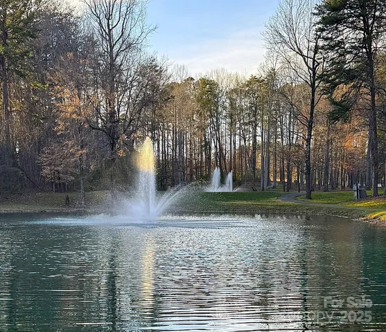 a view of a yard with large trees