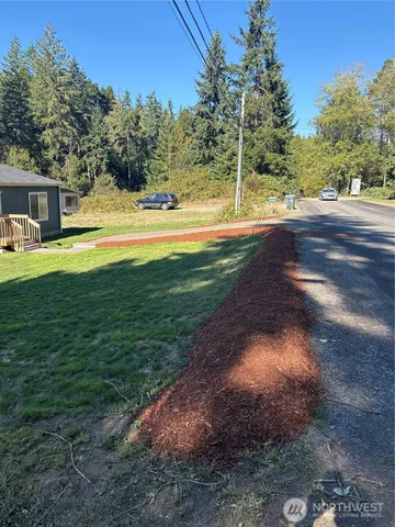 a view of a backyard with large tree and wooden fence
