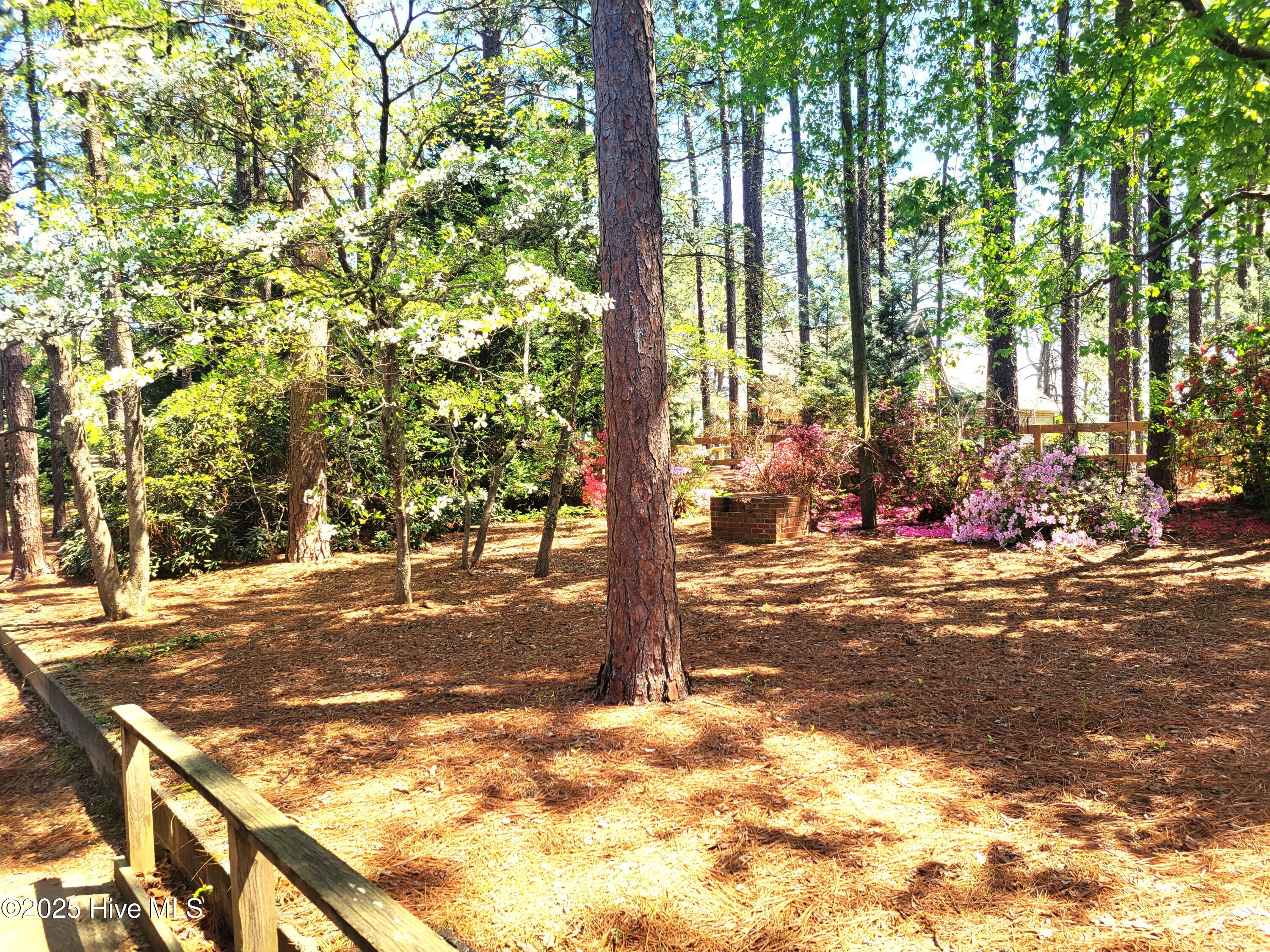 320 Shields Road Southern Pines, NC 28387 - Photo 36 of 42 20250409_131104