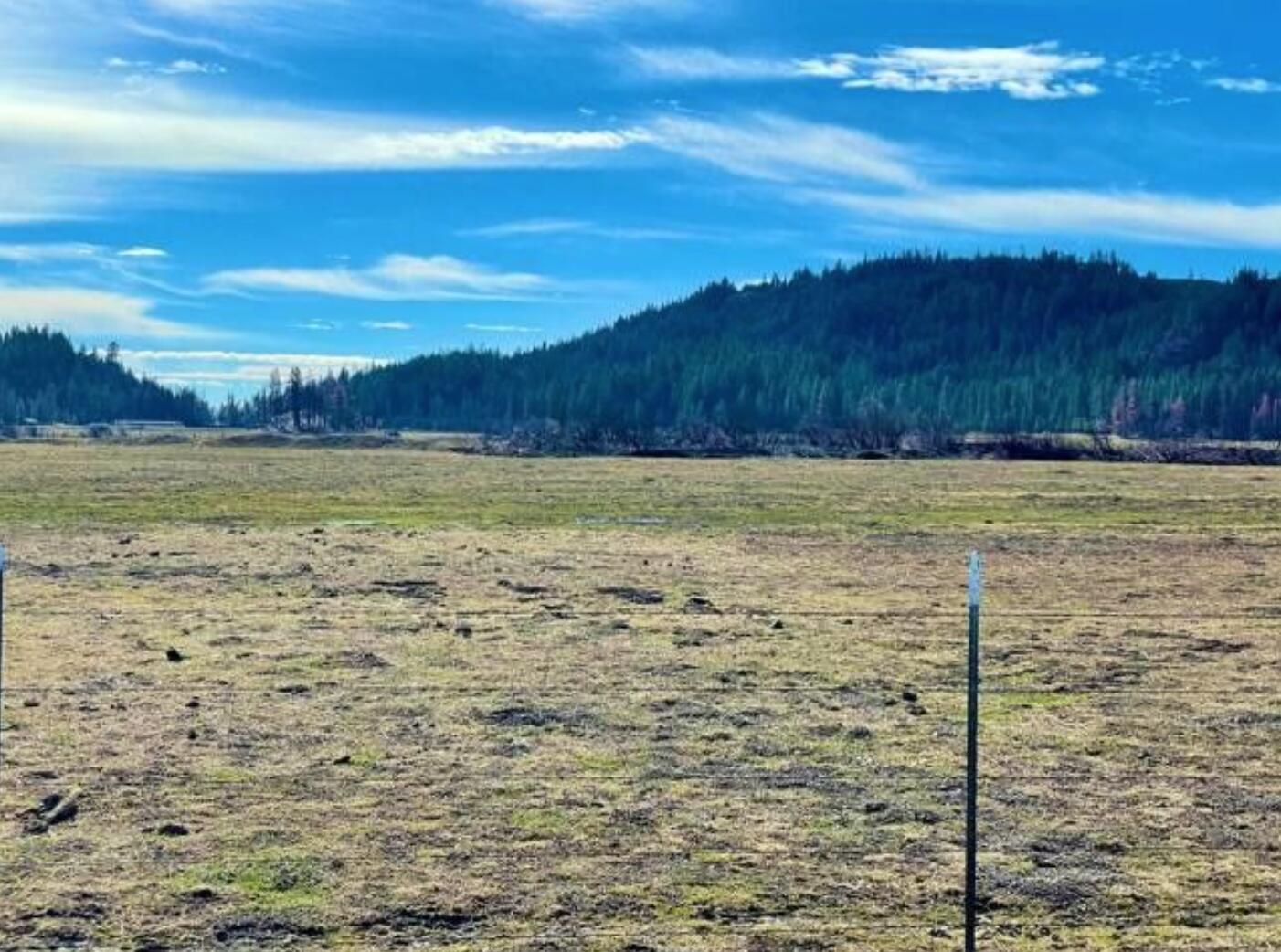 10001 Ruth-zenia Road Zenia, CA 95595 - Photo 3 of 39