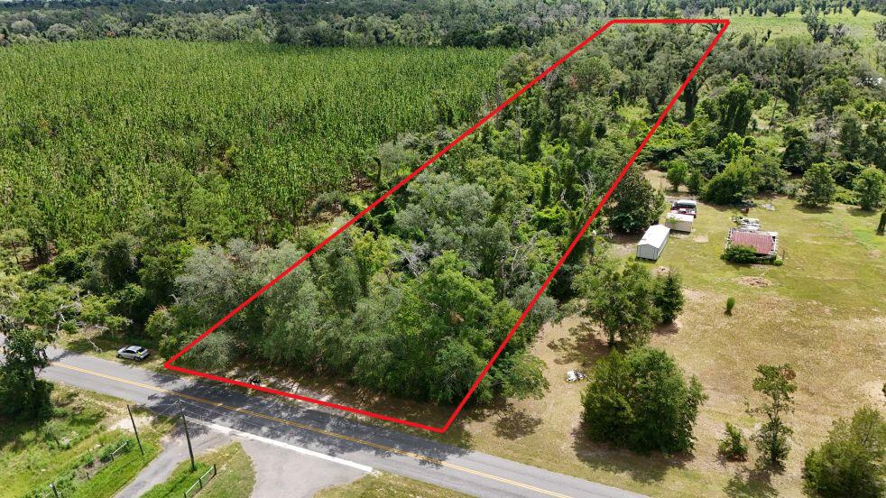 0 185th Road Live Oak, FL 32060 - Photo 3 of 22 4